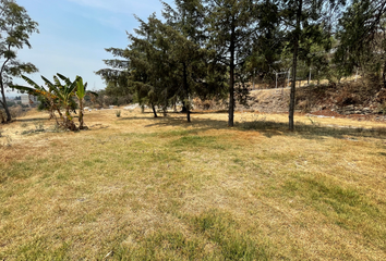 Lote de Terreno en  Bambú, Bosques De La Colmena, Nicolás Romero, México, 54476, Mex