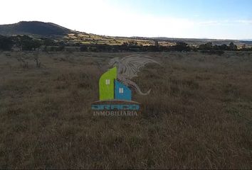 Lote de Terreno en  Huimilpan Centro, Huimilpan