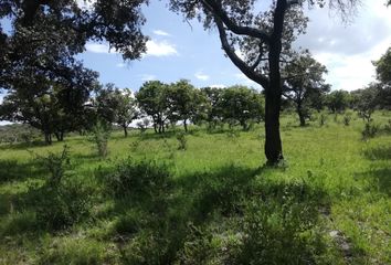 Rancho en  Jal-207, Cañadas De Obregón, Jalisco, 47360, Mex