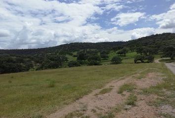 Rancho en  Jal-207, Cañadas De Obregón, Jalisco, 47360, Mex