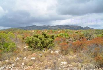 Terreno en  Lliber, Alicante Provincia