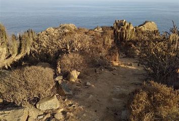 Parcela en  Coquimbo, Elqui