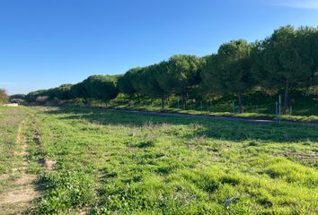 Terreno en  El Puerto De Santa Maria, Cádiz Provincia