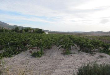 Terreno en  Salinas, Alicante Provincia