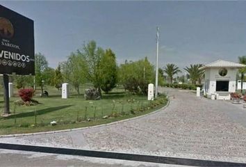 Lote de Terreno en  Privada Paseo De Los Avestruces, Aguascalientes, Mex