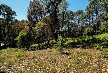 Lote de Terreno en  Avándaro, Valle De Bravo