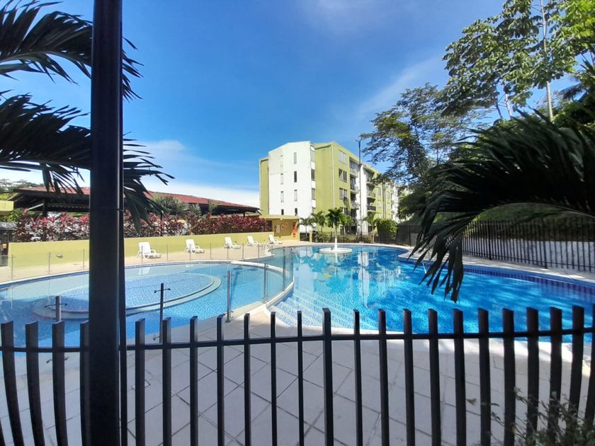 Apartamento en arriendo Rosa Blanca, Sur, Sur