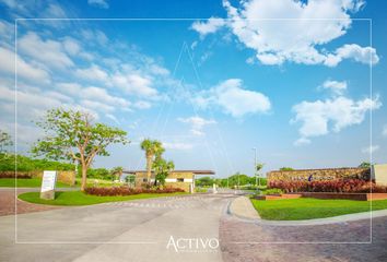 Lote de Terreno en  Punta Tiburón, Alvarado, Veracruz