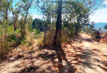 Lote de Terreno en  Rincón De La Montaña, Morelia, Michoacán