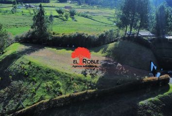 Lote de Terreno en  Cajamarca, Tolima
