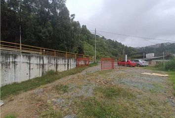 Lote de Terreno en  Panamericana, Manizales