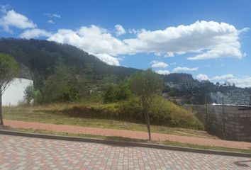 Terreno Comercial en  Rg2x+9jv, Quito 170157, Ecuador