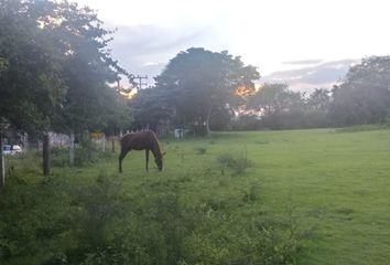 Lote de Terreno en  Santa Margarita, Amozoc