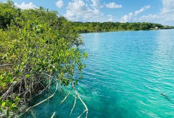 Lote de Terreno en  Mahahual, Othón P. Blanco