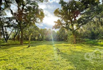 Lote de Terreno en  Plan De La Cruz, Coatepec, Veracruz