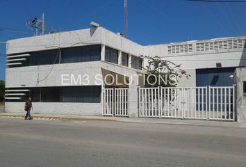 Oficina en  Puerto Pesquero, Carmen, Campeche