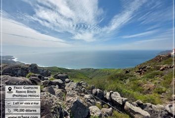 Lote de Terreno en  Adolfo Ruiz Cortines, Ensenada