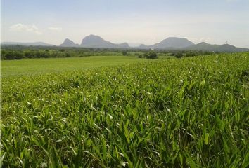 Lote de Terreno en  El Carrizal, Jonacatepec