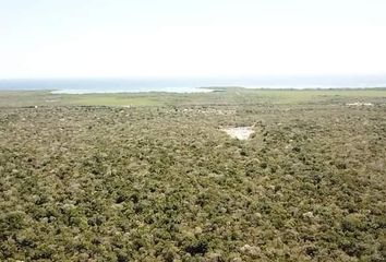 Lote de Terreno en  Bahía Principe, Tulum