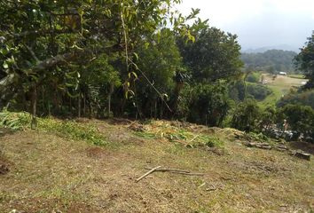 Lote de Terreno en  Emiliano Zapata, Xalapa-enríquez