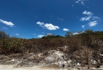 Lote de Terreno en  Samula, Municipio De Campeche