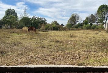 Lote de Terreno en  Villa Guerrero, Estado De México