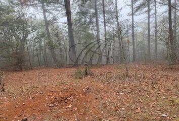 Lote de Terreno en  San Francisco, Santiago, Santiago, Nuevo León