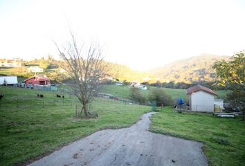 Terreno en  Peral, La (pola De Siero), Asturias