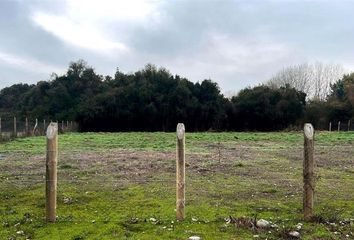 Parcela en  Chillán, Ñuble (región)