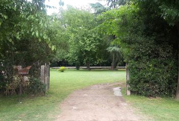 Quinta/Finca en  Libertad, Partido De Merlo