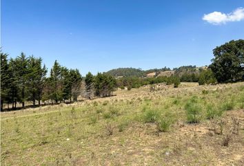 Lote de Terreno en  Avándaro, Valle De Bravo