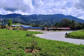 Lote de Terreno en  Ruta Nacional Vía 60, La Brizuela, Guarne, Antioquia, Col