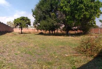 Lote de Terreno en  Oaxtepec Centro, Yautepec De Zaragoza