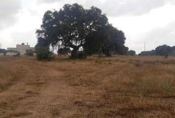 Terreno en  San Benito De La Balmuza, Salamanca Provincia