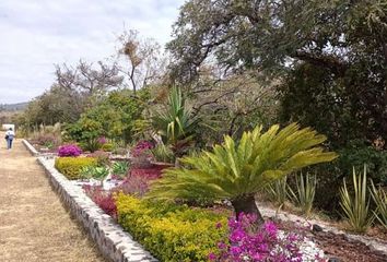 Lote de Terreno en  Fraccionamiento Palestina, Totolapan