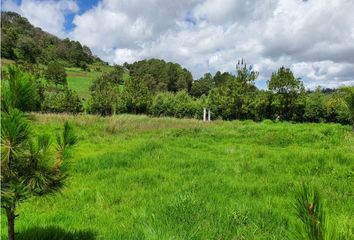 Lote de Terreno en  Rincón De La Montaña, Morelia, Michoacán