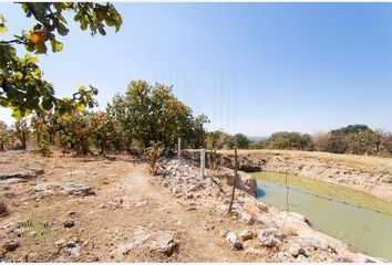 Lote de Terreno en  Lagos De Moreno, Jalisco, Mex