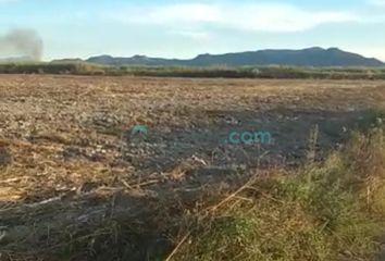 Lote de Terreno en  Calle Pedro Moreno 80, Tala Centro, Tala, Jalisco, 45300, Mex