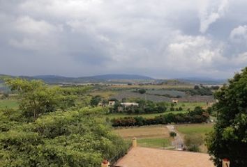 3 tierras en venta en Amatitán 