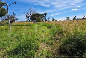 Lote de Terreno en  Copalita, Zapopan, Jalisco