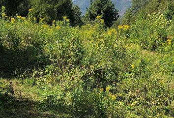 Lote de Terreno en  Calle A Amola, Malinalco, México, 52443, Mex