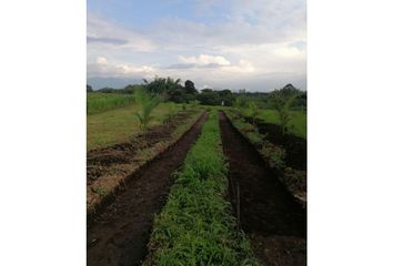 Lote de Terreno en  Montenegro, Quindío