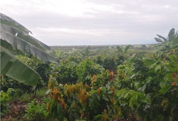 Terreno Comercial en  Taura, Naranjal