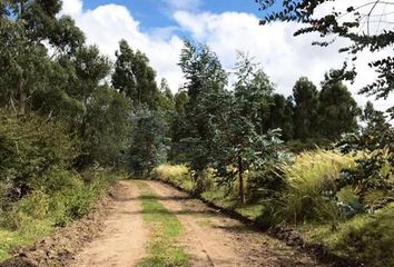 Terrenos en  Huerta Grande, Córdoba