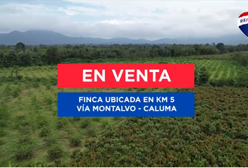Terreno Comercial en  Vía Montalvo - Caluma, Ecuador