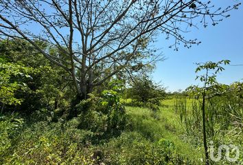 Lote de Terreno en  Centla, Tabasco