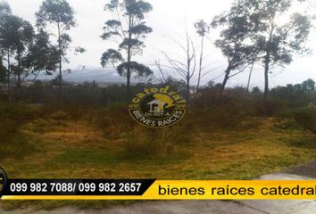 Terreno Comercial en  Lucha De Los Pobres, La Argelia, Quito