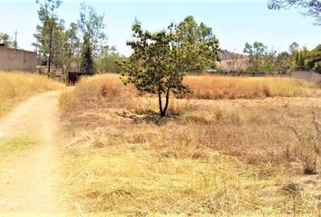 Lote de Terreno en  Valle De Los Molinos, Zapopan, Jalisco