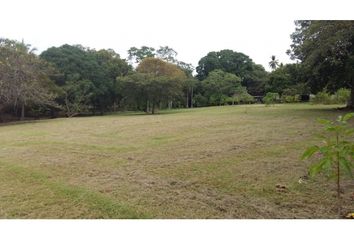 Lotes y Terrenos en  El Hatillo, San Carlos