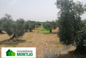 Terreno en  Montijo, Badajoz Provincia